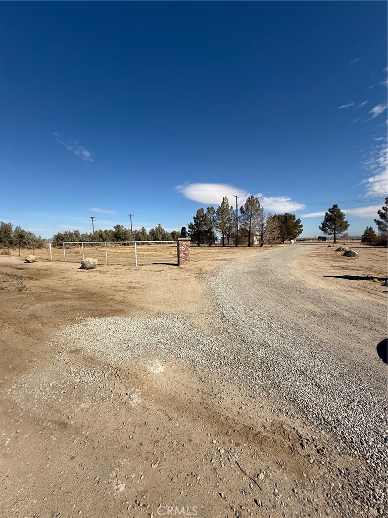 MLS #SR25018454 image #5