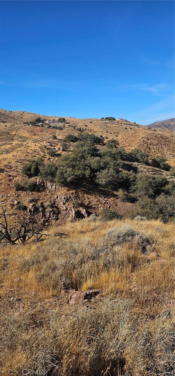 MLS #SR25019723 image #3