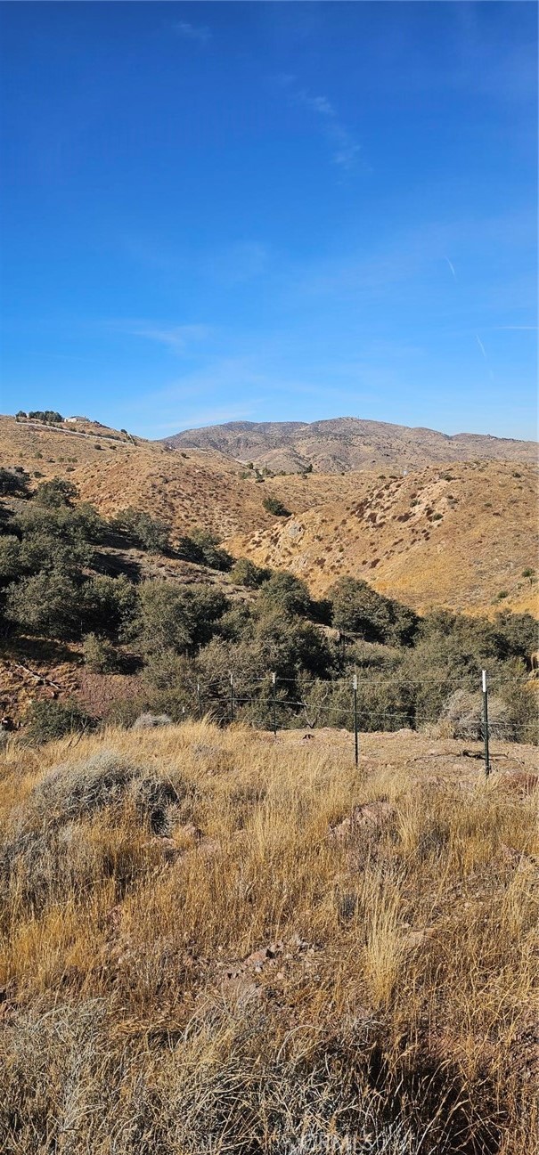 MLS #SR25019723 image #4