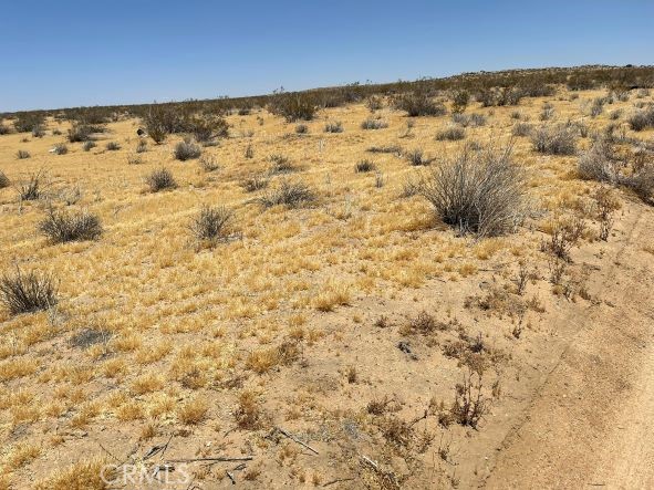 MLS #SR25040640 image #3