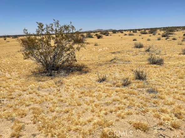 MLS #SR25040640 image #4