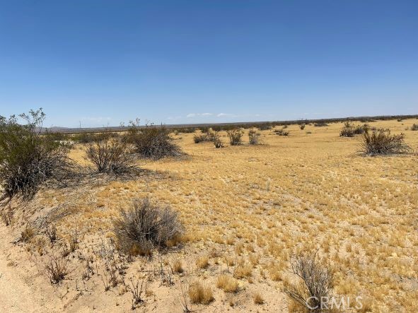 MLS #SR25040640 image #5