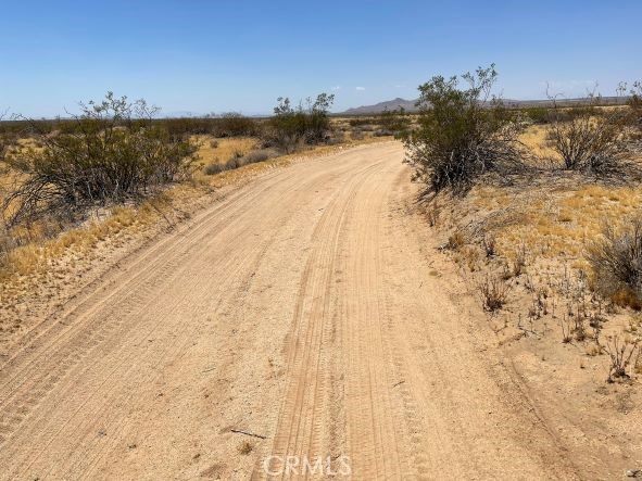 MLS #SR25040640 image #6