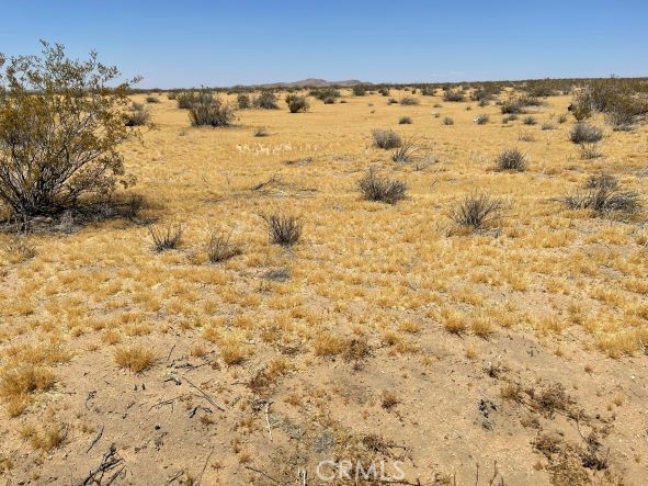 MLS #SR25040640 image #8