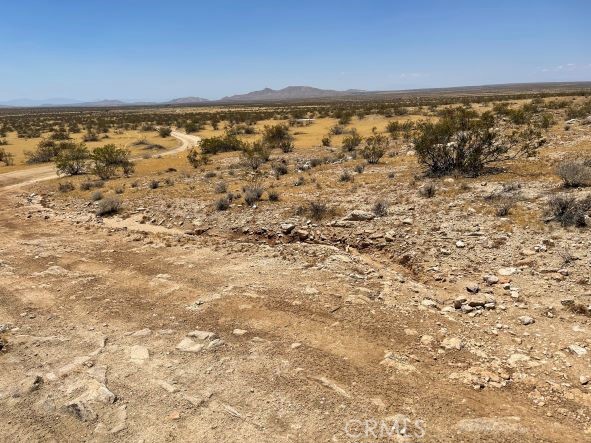 MLS #SR25040640 image #9