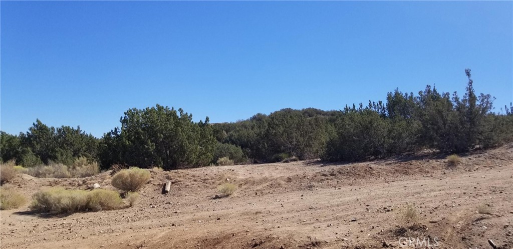 MLS #SR25041901 image #1