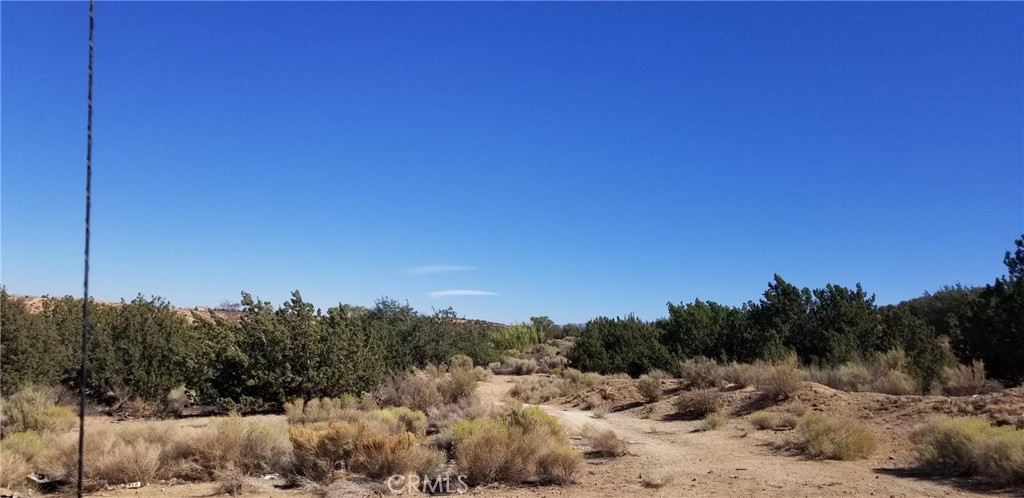 MLS #SR25041901 image #2