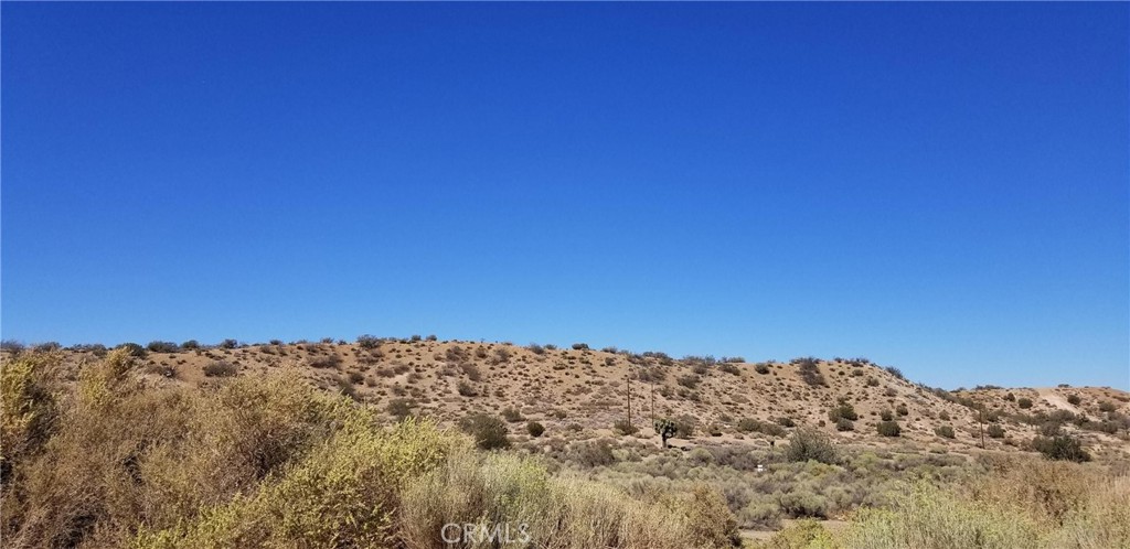 MLS #SR25041901 image #3