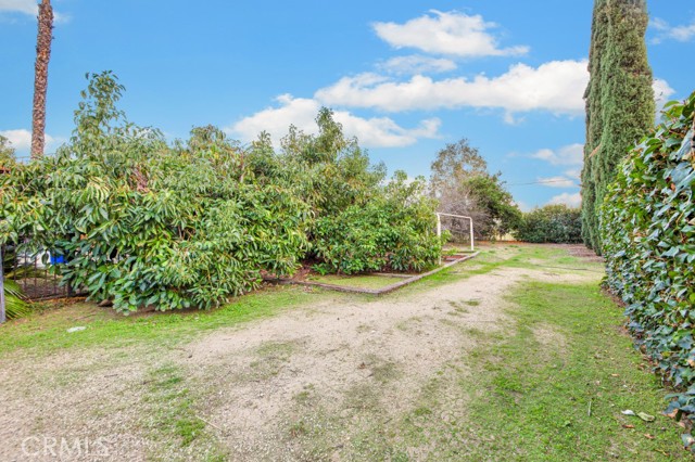 MLS #SR25048001 image #46