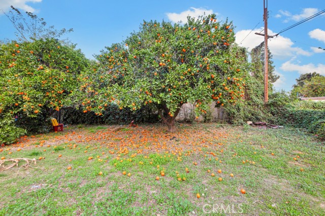 MLS #SR25048001 image #48