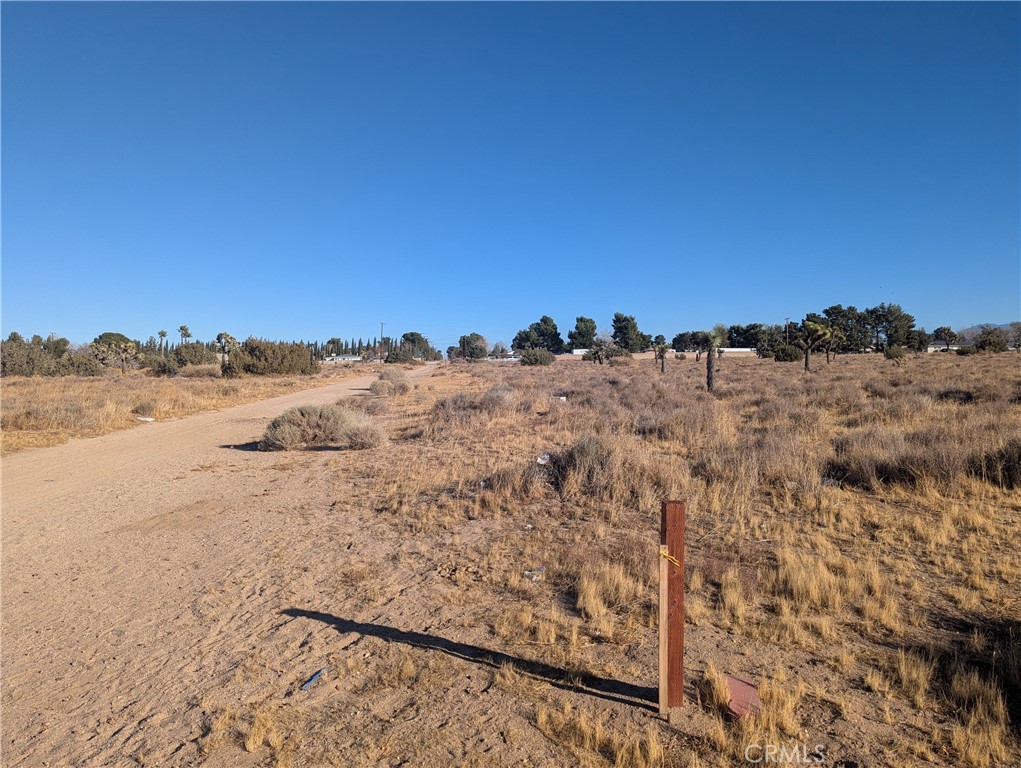 MLS #SR25048186 image #2