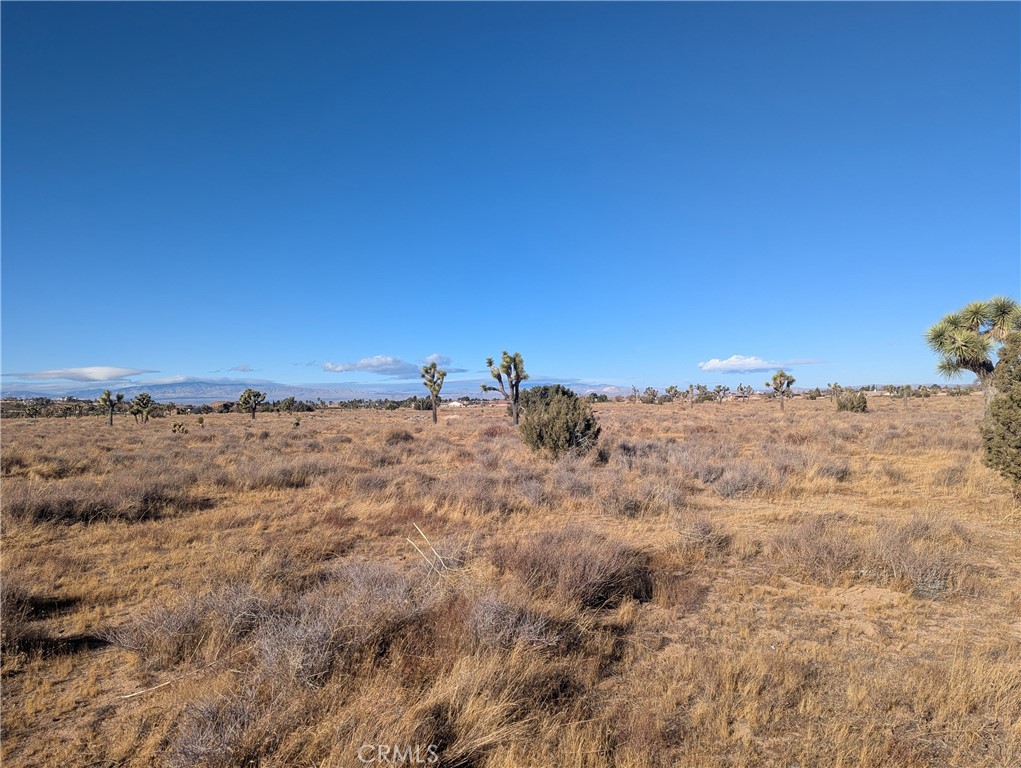 MLS #SR25048186 image #4