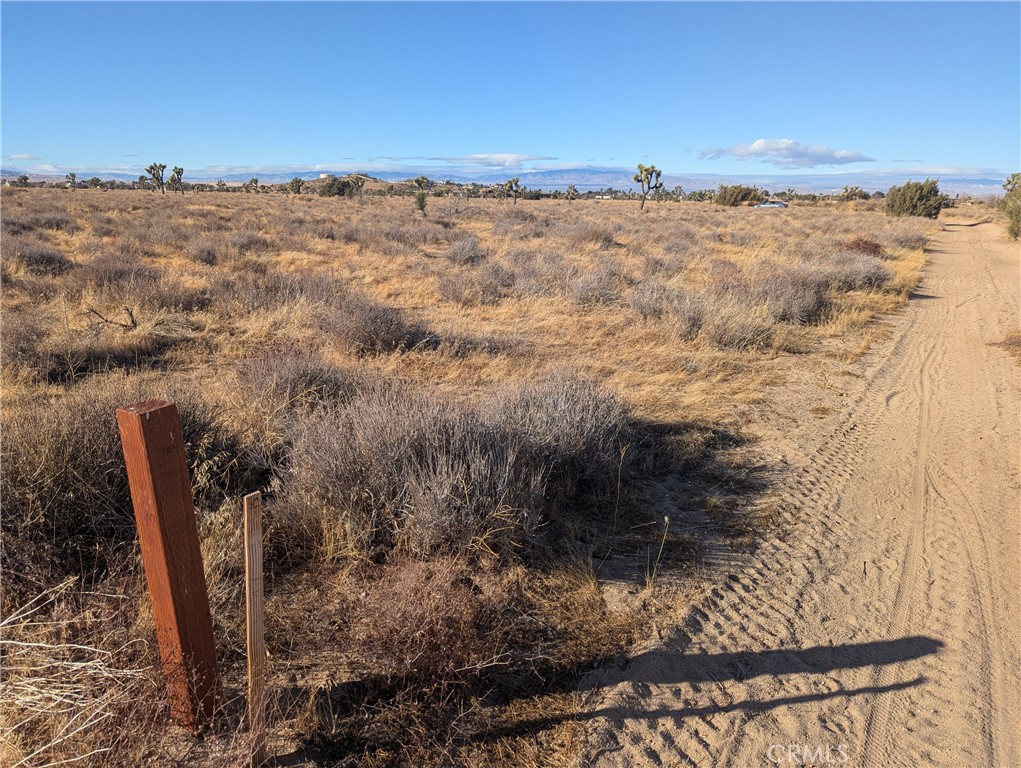 MLS #SR25048186 image #5