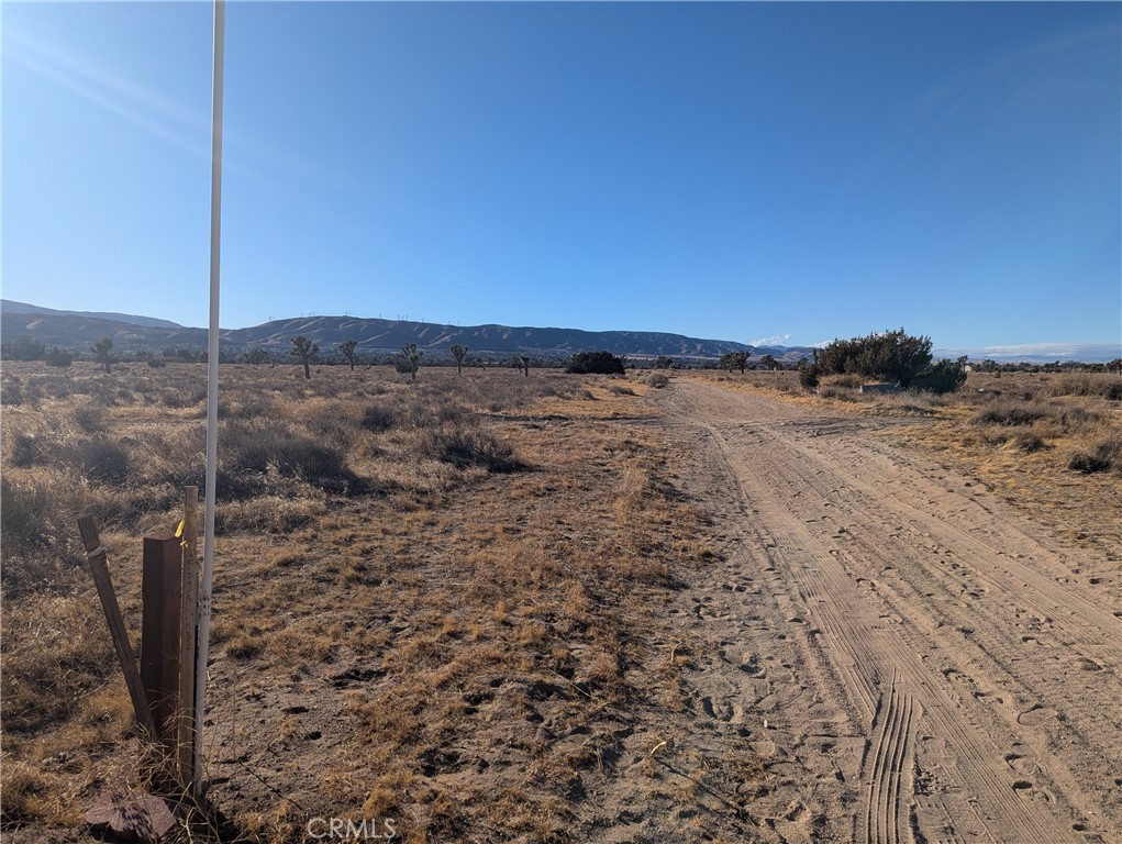 MLS #SR25048186 image #6