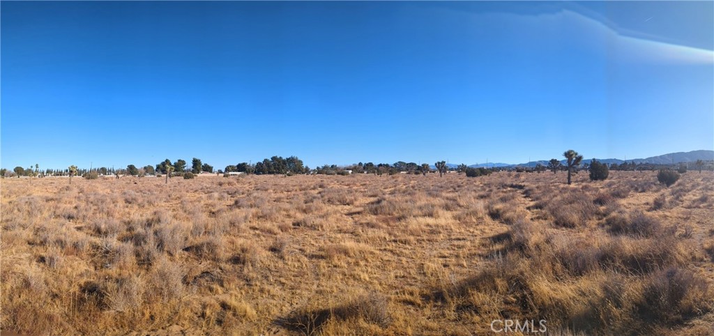 MLS #SR25048186 image #8