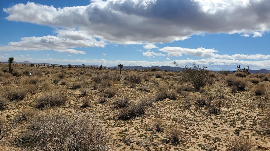 MLS #SR25053039 image #11