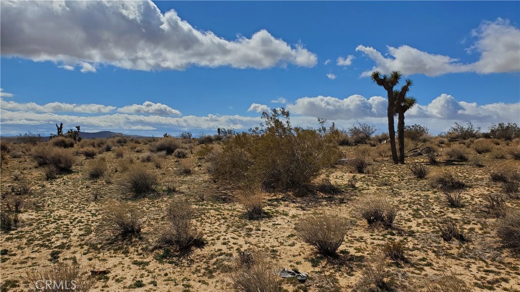 MLS #SR25053039 image #12