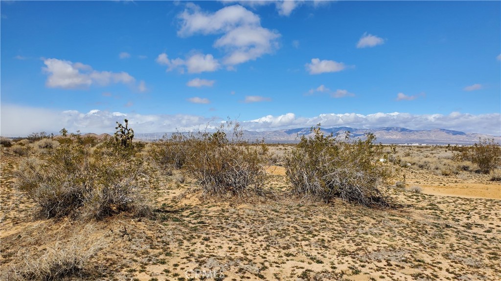 MLS #SR25053039 image #13