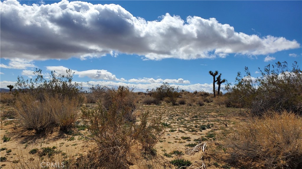 MLS #SR25053039 image #5