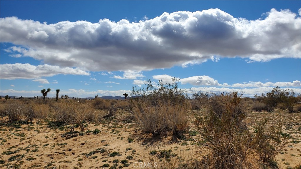 MLS #SR25053039 image #6