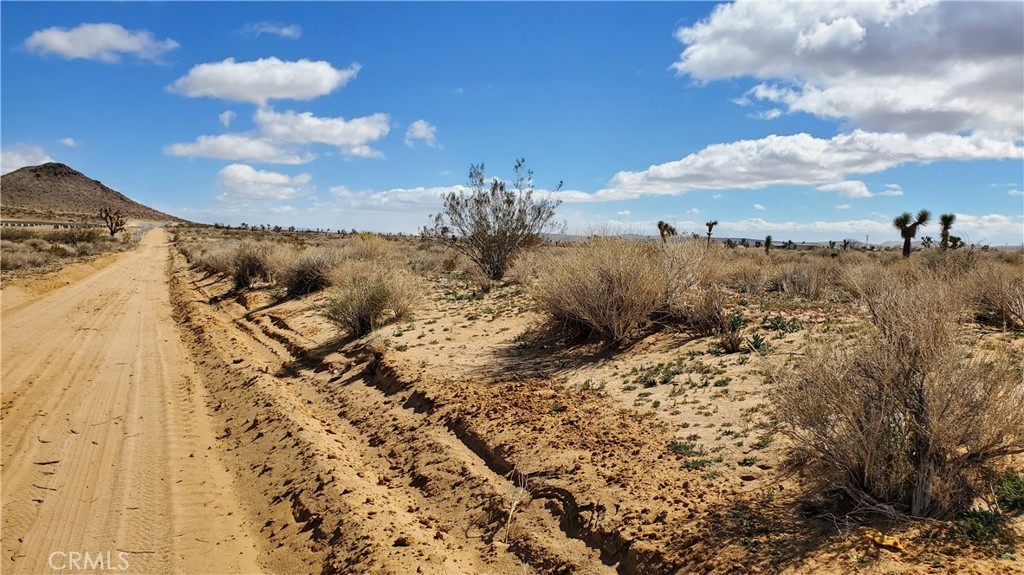 MLS #SR25053039 image #7