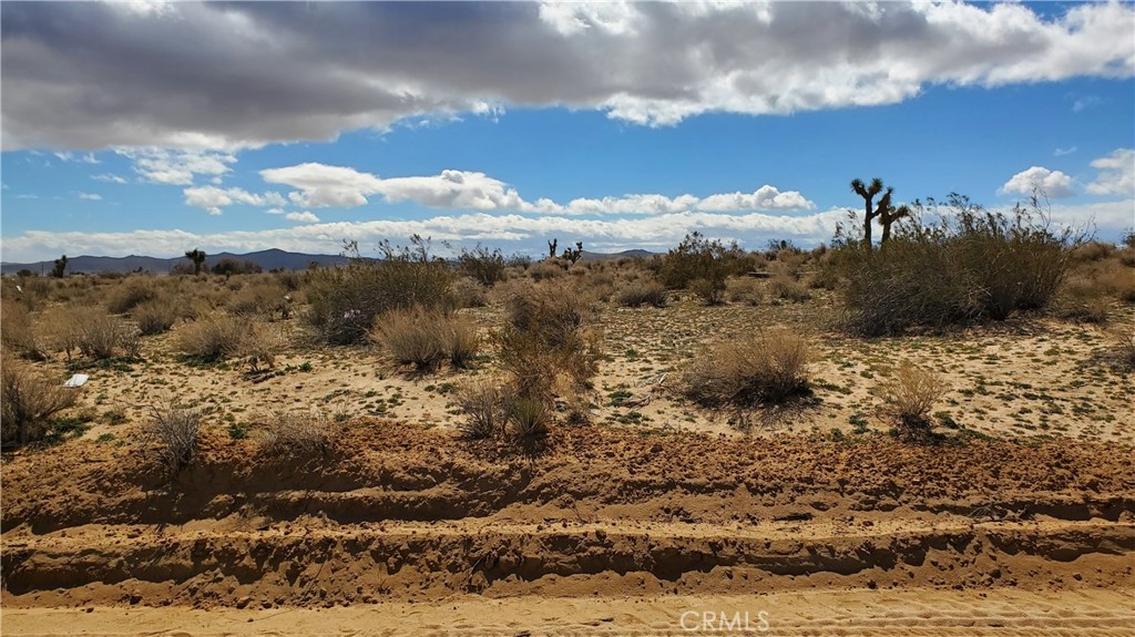 MLS #SR25053039 image #9