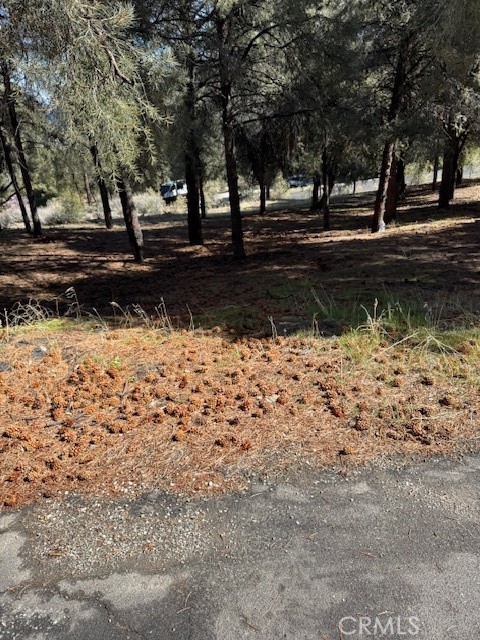 MLS #SR25054940 image #0