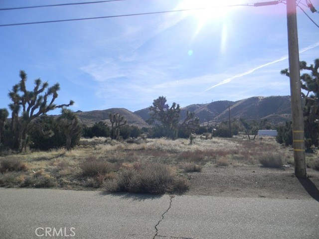 MLS #SR25060642 image #0