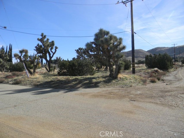 MLS #SR25060642 image #1