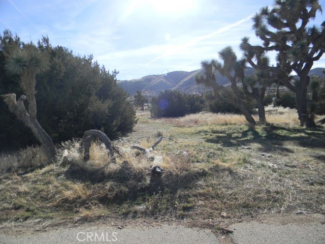 MLS #SR25060642 image #3