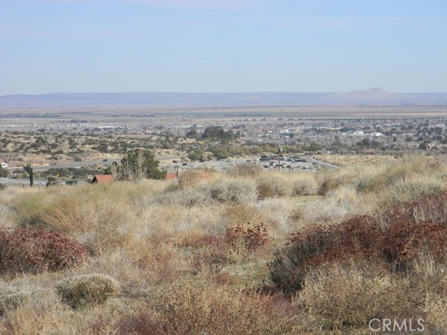 MLS #SR25060642 image #5