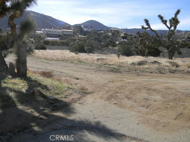 MLS #SR25060642 image #6