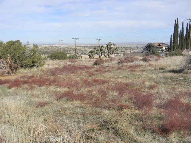 MLS #SR25060642 image #7