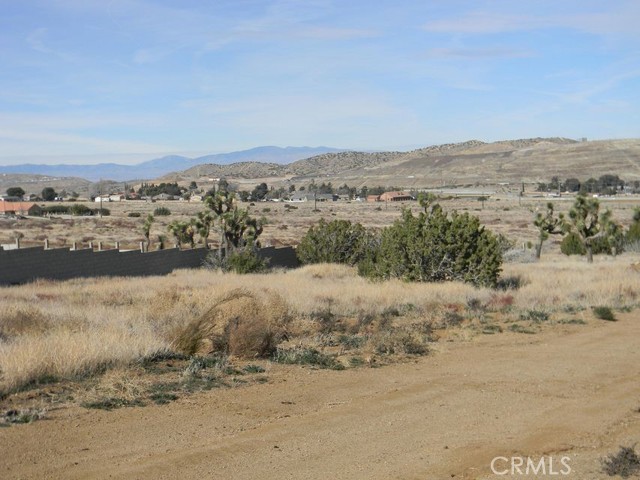 MLS #SR25060642 image #8