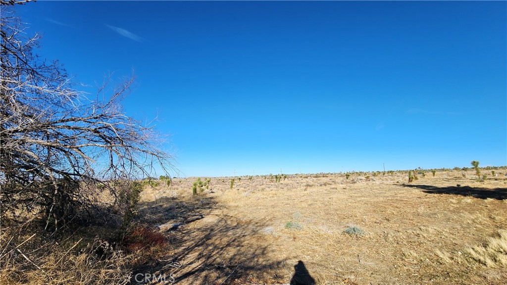 MLS #SR25063064 image #2