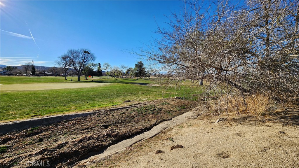 MLS #SR25063064 image #5