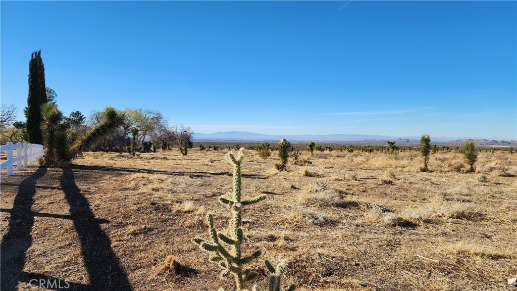 MLS #SR25063064 image #9