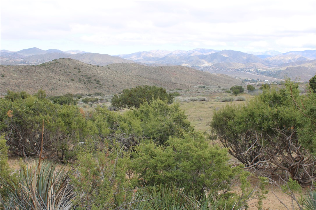 MLS #SR25068610 image #12