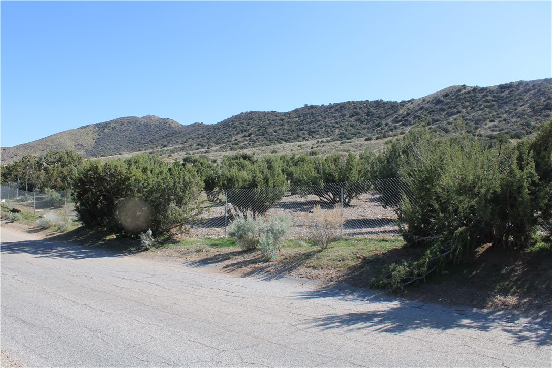 MLS #SR25068610 image #4