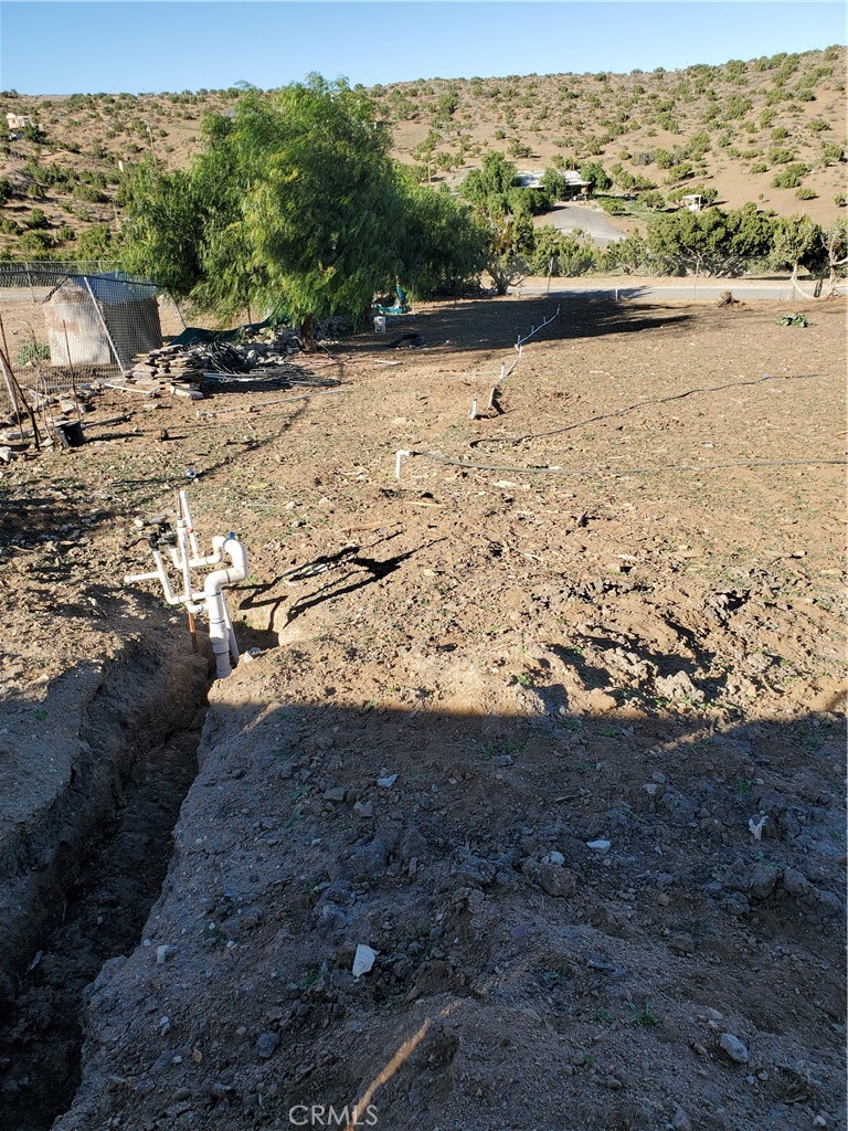 MLS #SR25068610 image #7