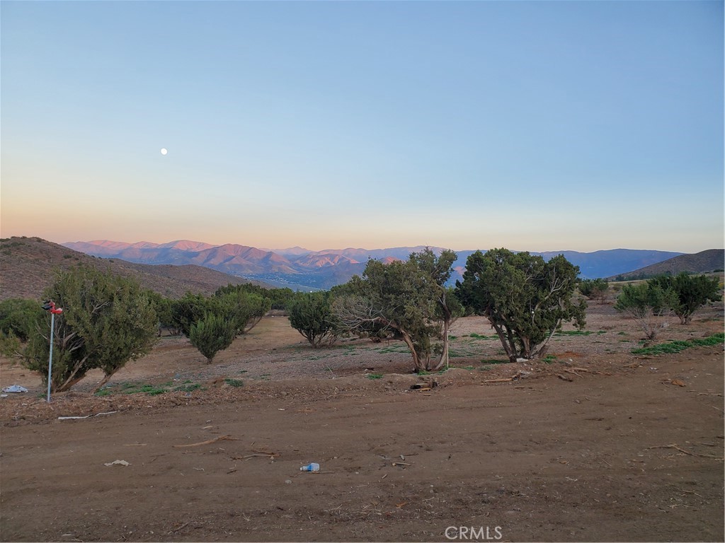 MLS #SR25068610 image #8