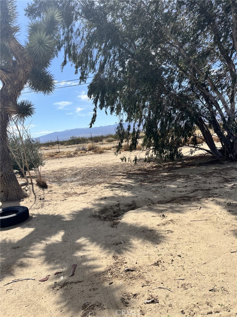 MLS #SR25073268 image #2