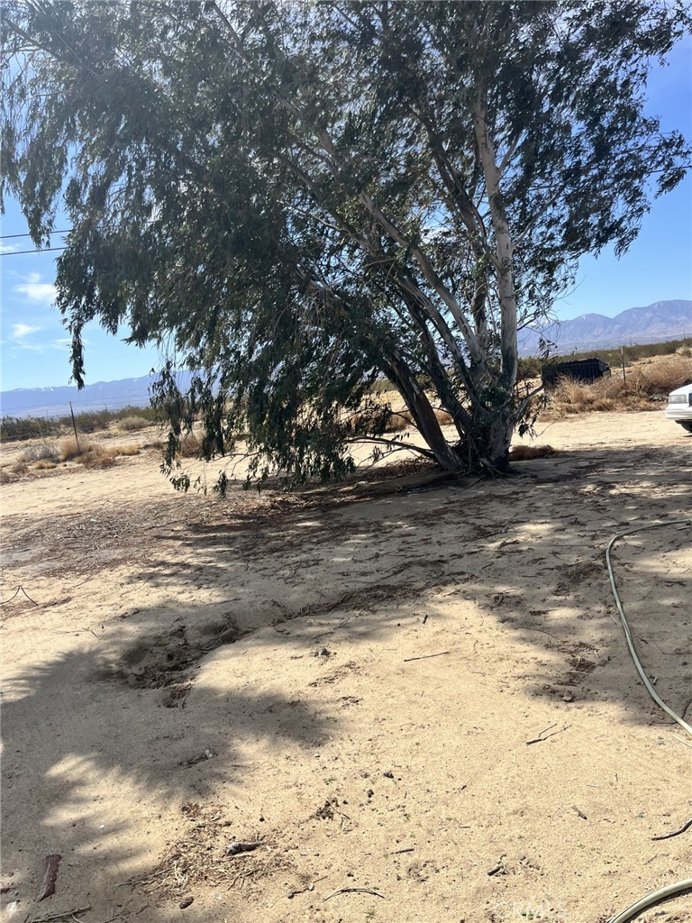 MLS #SR25073268 image #3