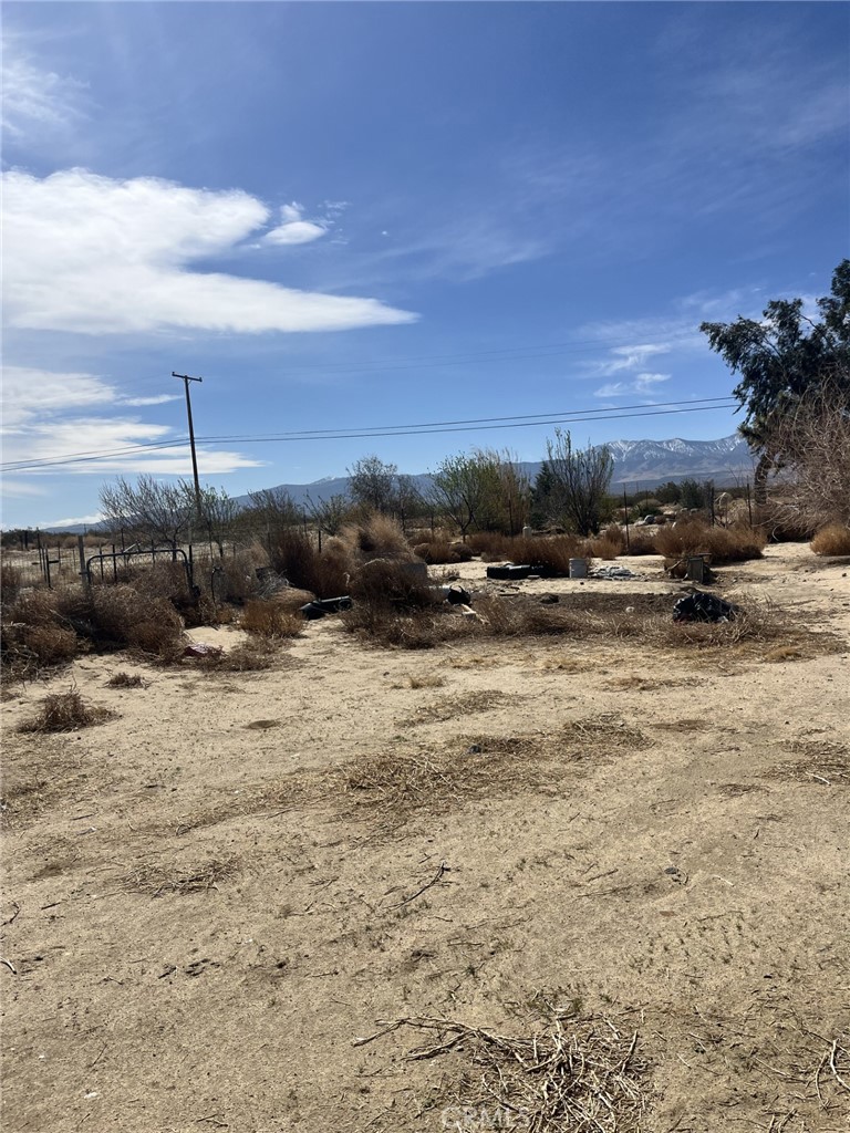 MLS #SR25073268 image #6