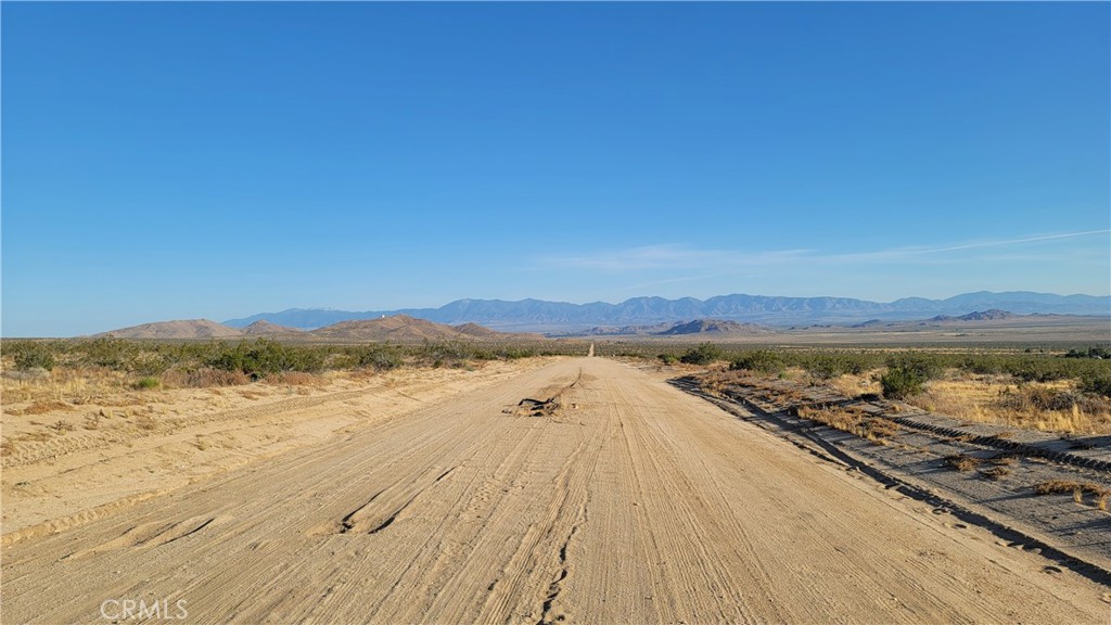 MLS #SR25073271 image #4