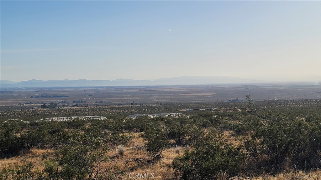 MLS #SR25073271 image #5