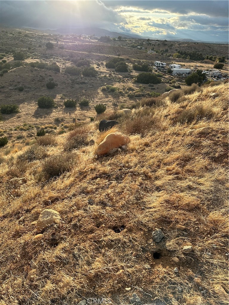 MLS #SR25080702 image #14