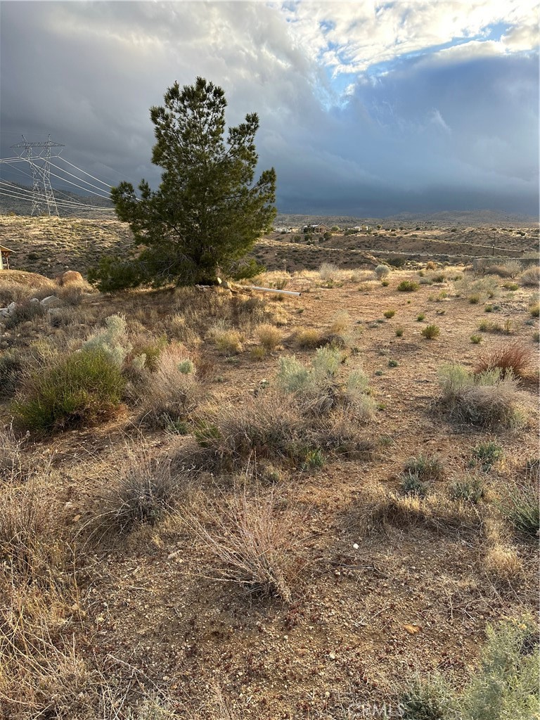 MLS #SR25080702 image #18