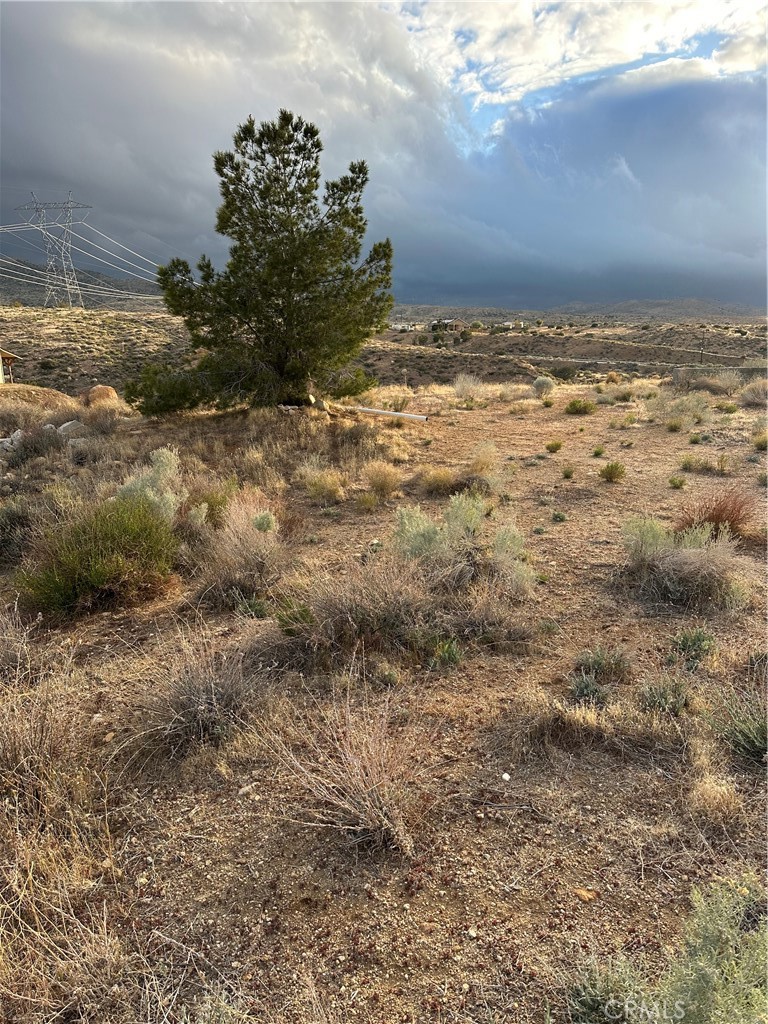 MLS #SR25080702 image #7