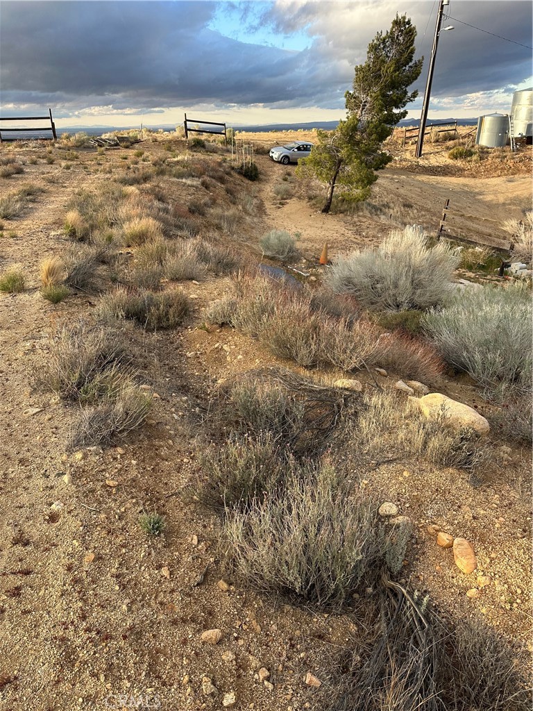 MLS #SR25080702 image #9